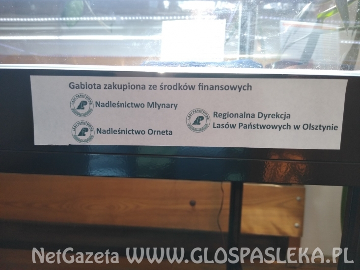 Sponsorzy w Bibliotece