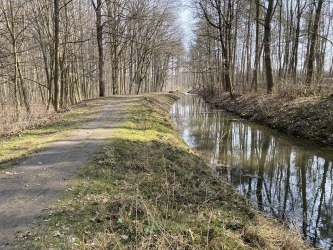 Spacer, rower i kijki tak...