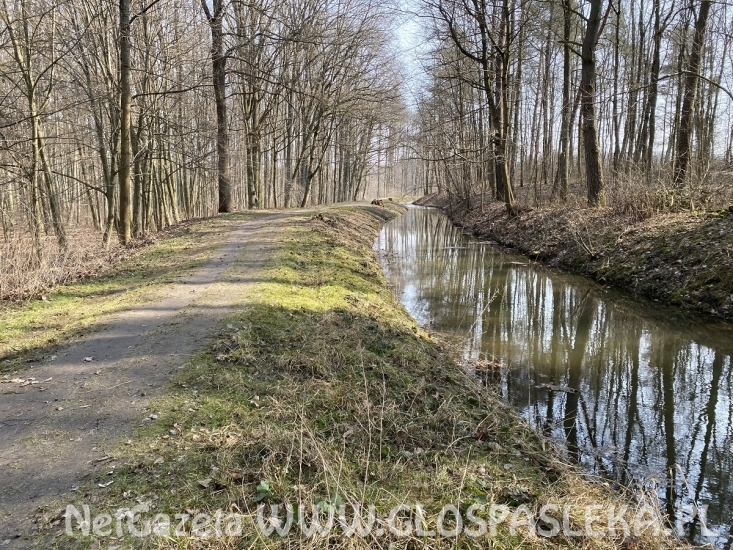 Spacer, rower i kijki tak...