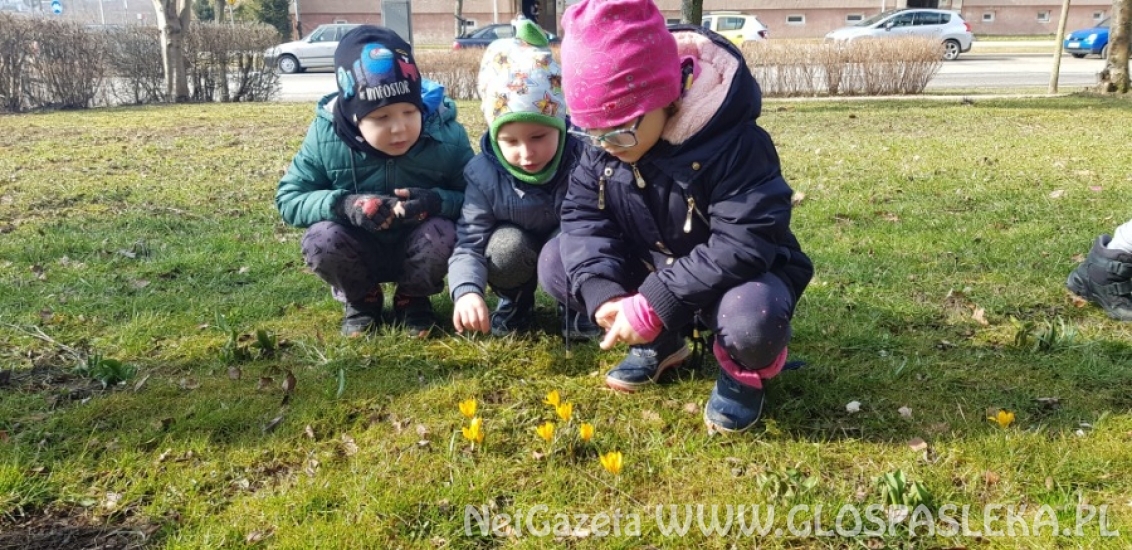Wieści z Przedszkola Samorządowego nr 1 w Pasłęku