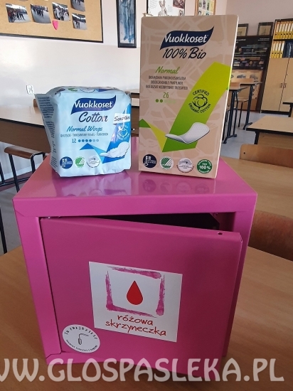 Różowa skrzyneczka w ZS w Pasłęku 