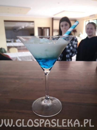 Kurs kelner-barman w ZSEiT