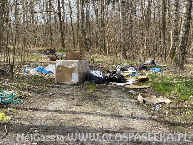 Wysypisko śmieci koło ronda Północ