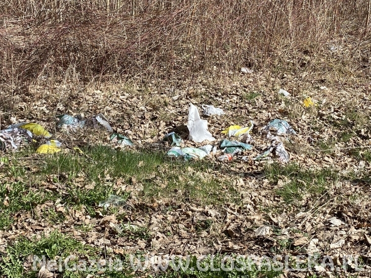 Wysypisko śmieci koło ronda Północ