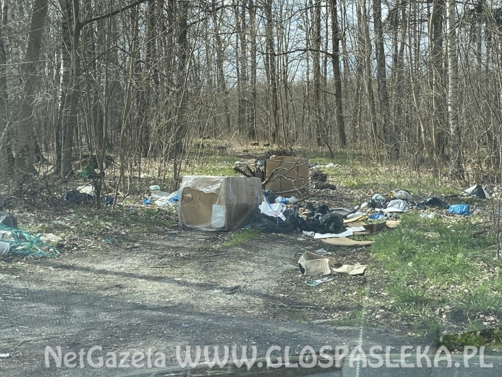 Wysypisko śmieci koło ronda Północ