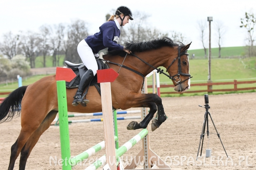 Parkur otwarty 9.05.2021