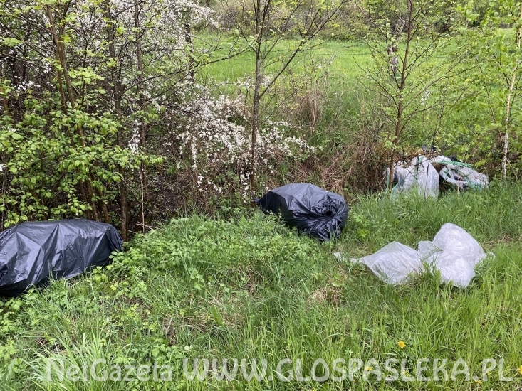 Szybka jazda i śmieci