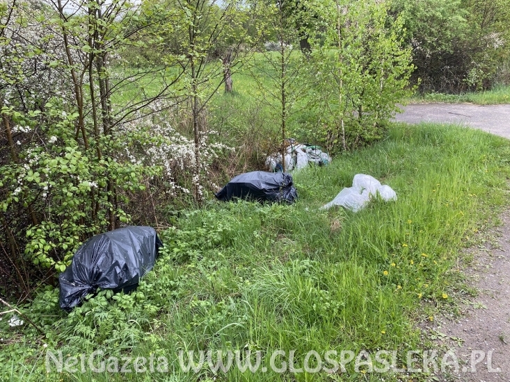 Szybka jazda i śmieci