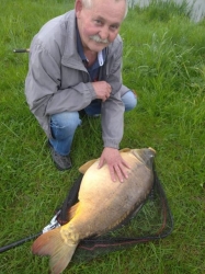 Karp na robaka 