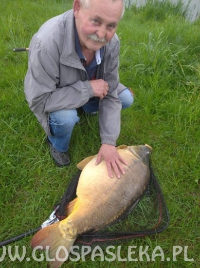 Karp na robaka 