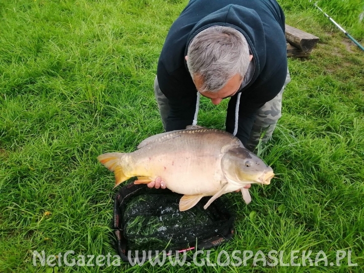 Karp dał zwycięstwo