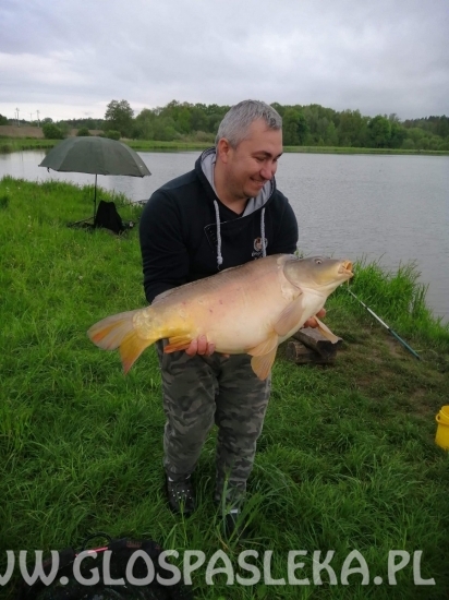 Karp dał zwycięstwo