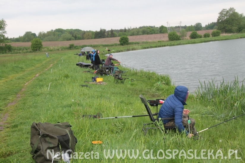 Karp dał zwycięstwo