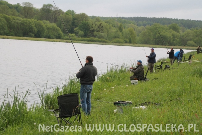 Karp dał zwycięstwo