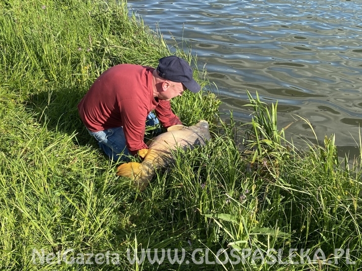 Poniedziałkowe wędkowanie