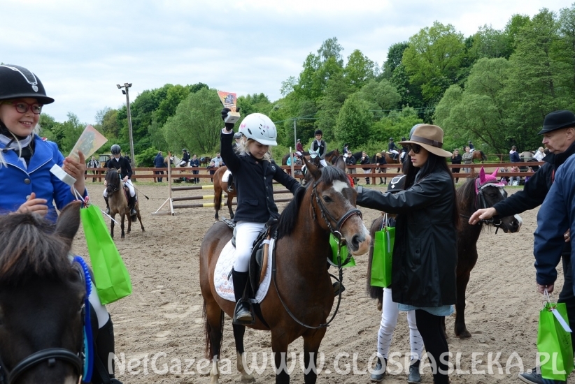 Memoriał H. Hucza - skakała młodzież jeździecka