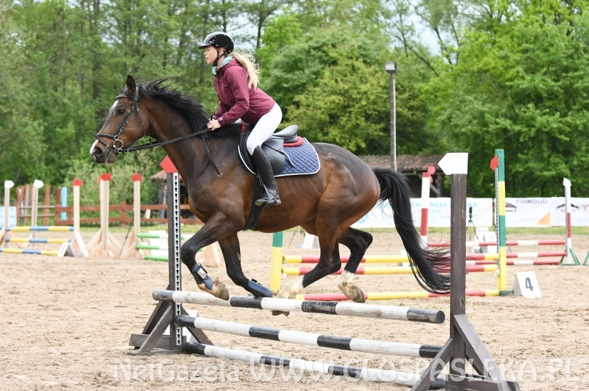 Memoriał H. Hucza - skakała młodzież jeździecka