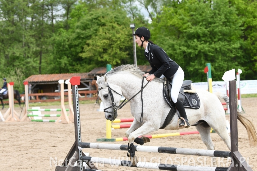 Memoriał H. Hucza - skakała młodzież jeździecka