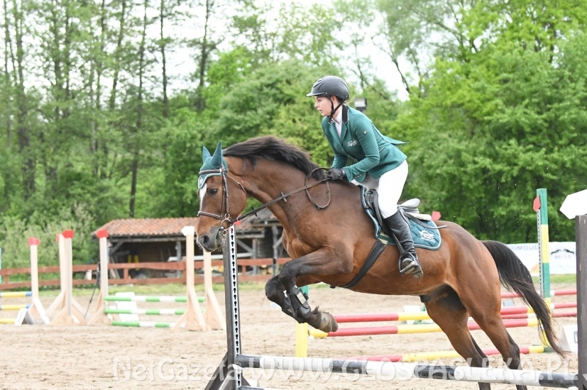 Memoriał H. Hucza - skakała młodzież jeździecka