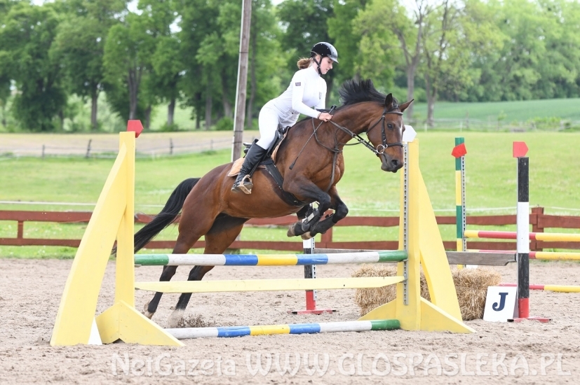 Memoriał H. Hucza - skakała młodzież jeździecka