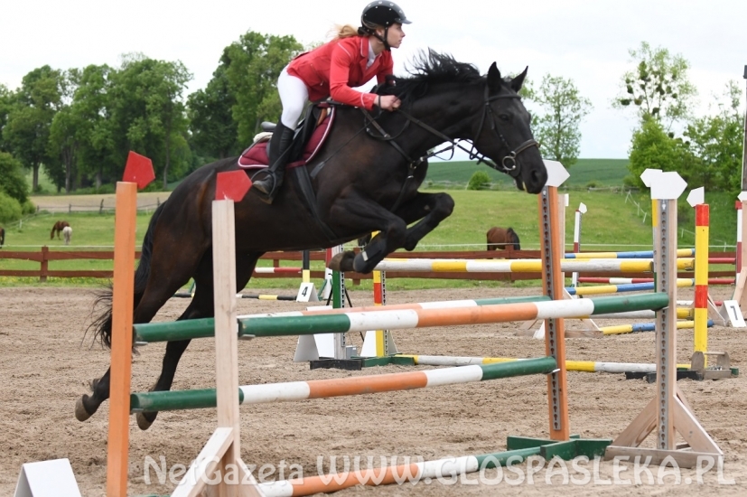 Memoriał H. Hucza - skakała młodzież jeździecka