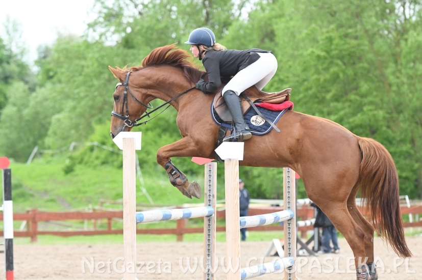 Memoriał H. Hucza - skakała młodzież jeździecka