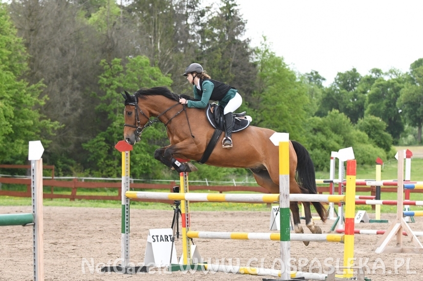 Memoriał H. Hucza - skakała młodzież jeździecka