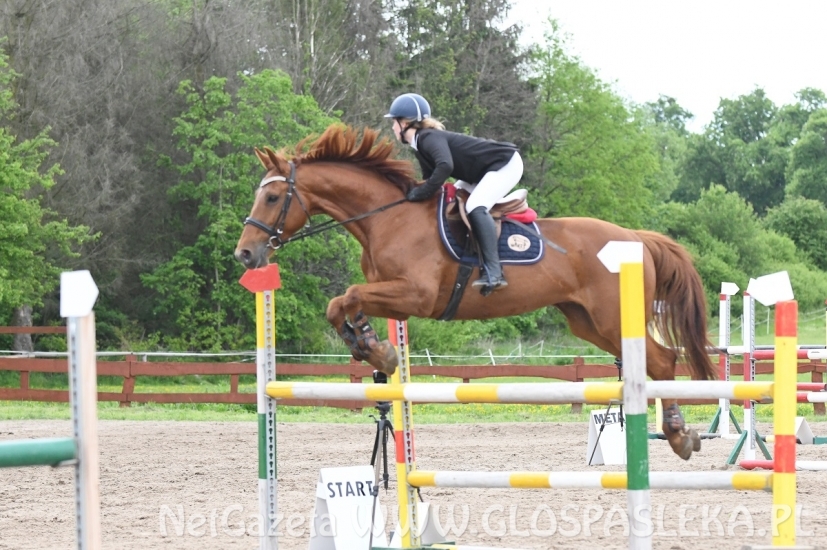 Memoriał H. Hucza - skakała młodzież jeździecka