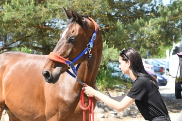 Kasia wygrywa w Dąbrówce