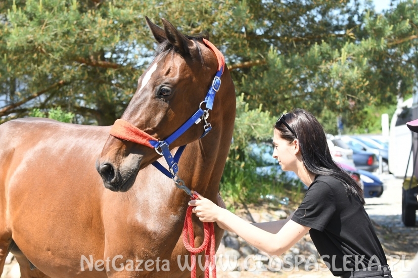 Kasia wygrywa w Dąbrówce