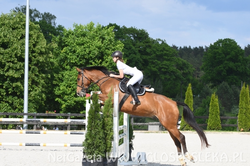 Kasia wygrywa w Dąbrówce