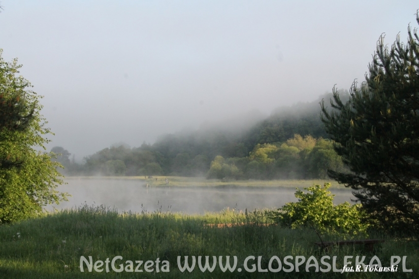 Feederowe Mistrzostwa Koła PZW