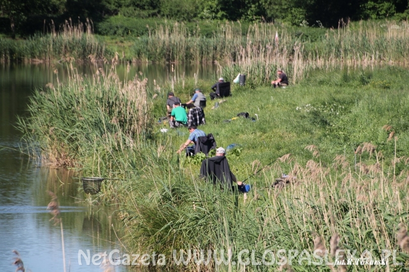 Feederowe Mistrzostwa Koła PZW