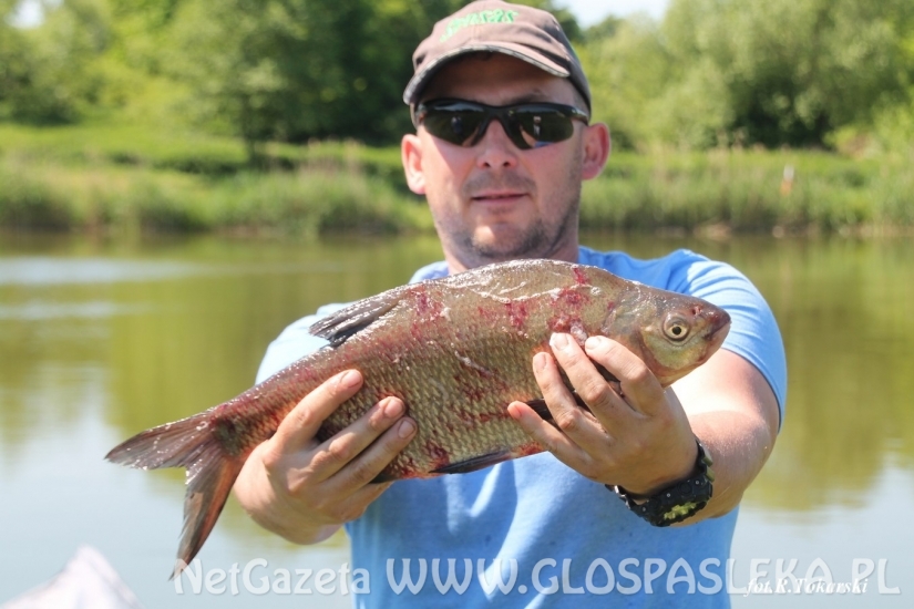 Feederowe Mistrzostwa Koła PZW