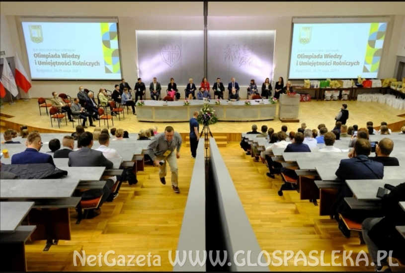 Laureat ogólnopolskiej olimpiady z ZSEiT