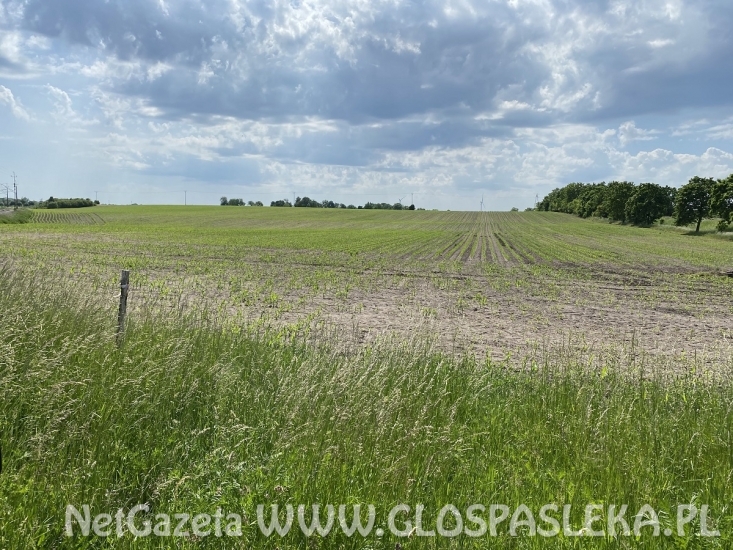 Powiat sprzedaje grunty