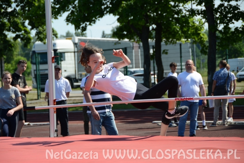 Mistrzostwa szkół podstawowych