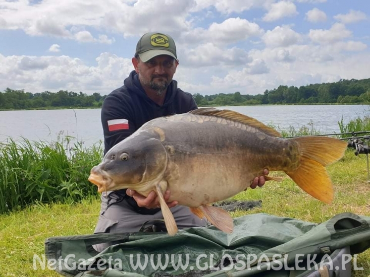 Karpie z Zakrzewka II