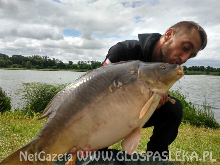 Karpie z Zakrzewka II