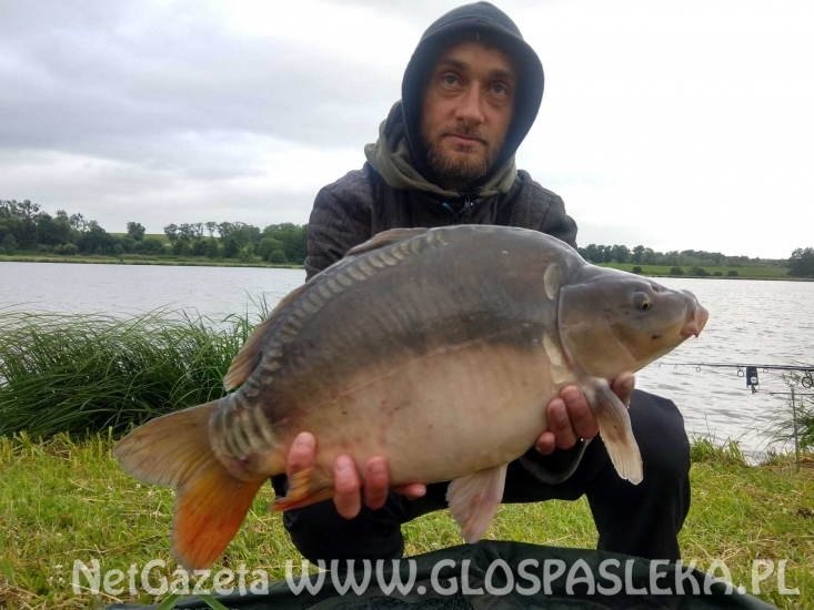 Karpie z Zakrzewka II