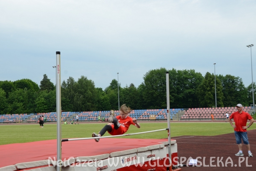 Mistrzostwa Powiatu Elbląskiego w Czwórboju LA