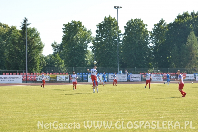 Wygrana Polonii w ostatnim meczu sezonu