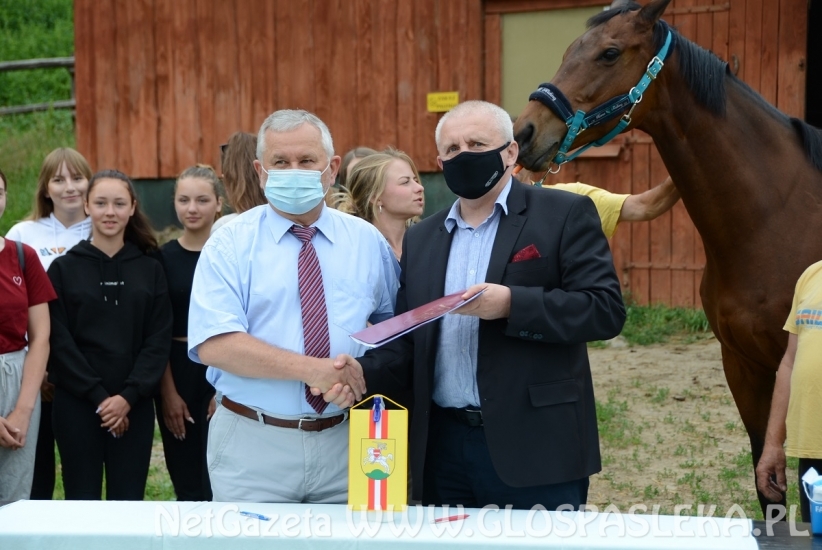 Umowa na dofinansowanie zakupu namiotu jeździeckiego