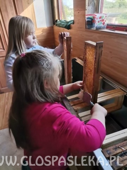 Z pszczołami w przyjaźni