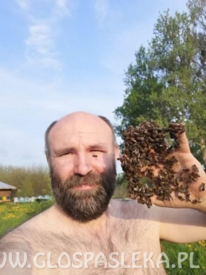 Z pszczołami w przyjaźni