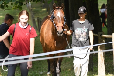Emocje na parkurze w Rzecznej