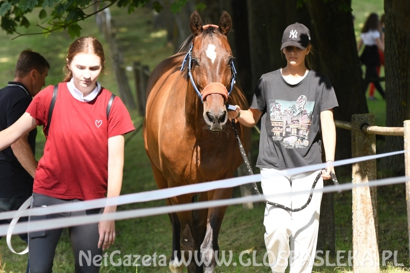 Emocje na parkurze w Rzecznej