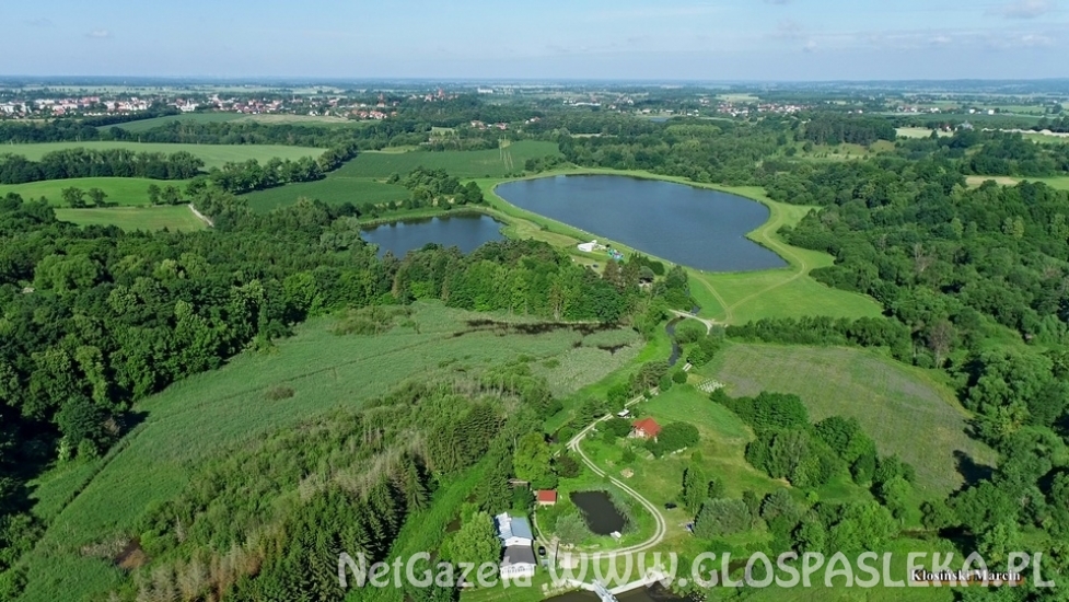 Wędkarski Dzień Dziecka - wyniki