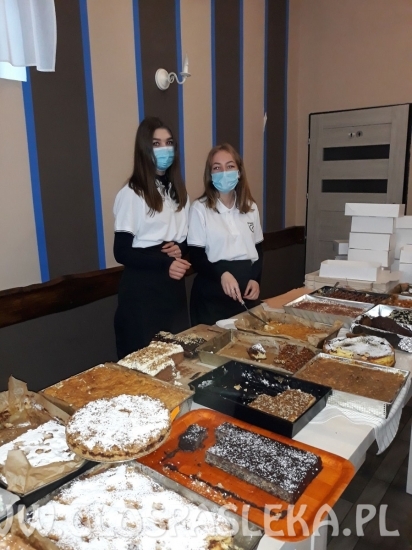 Działania wolontariackie w ZSEiT 