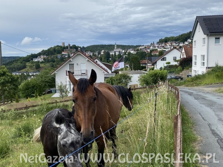Pozdrowienia z gór Taunus